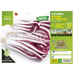 Radicchio rosso di Treviso tardivo invernale