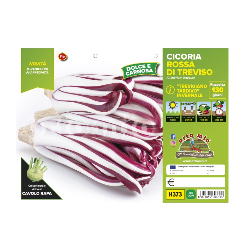 Radicchio rosso di Treviso tardivo invernale