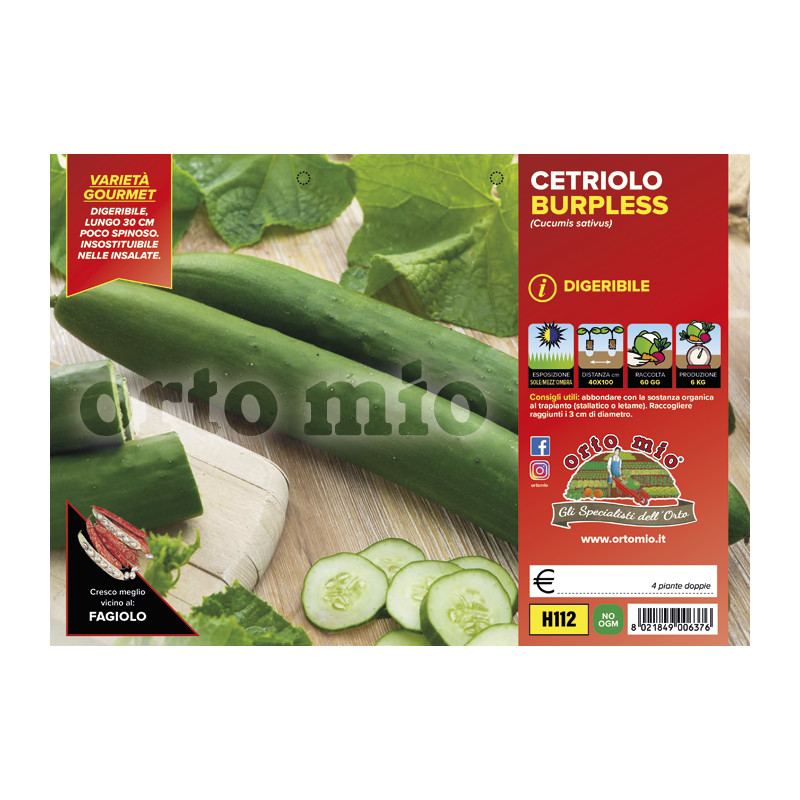 Cetriolo lungo digeribile