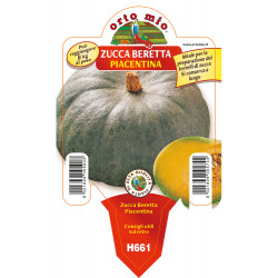 Zucca beretta piacentina...