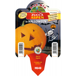 Zucca di Halloween var....